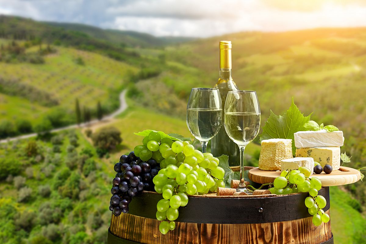 I Vini delle Colline Toscane - I vini dalle colline toscane: un sorso di emozioni che conquista il cuore