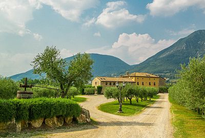 Wine Tour and Tasting on Garda Hills