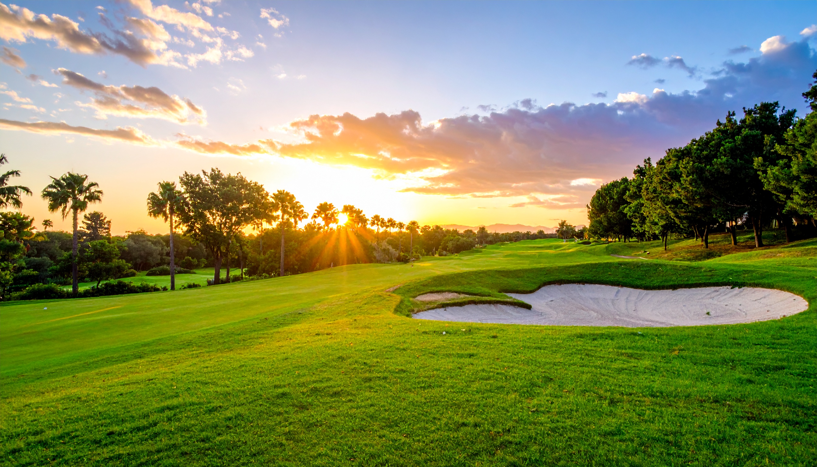 Tastings at the best <span>Golf Clubs</span>